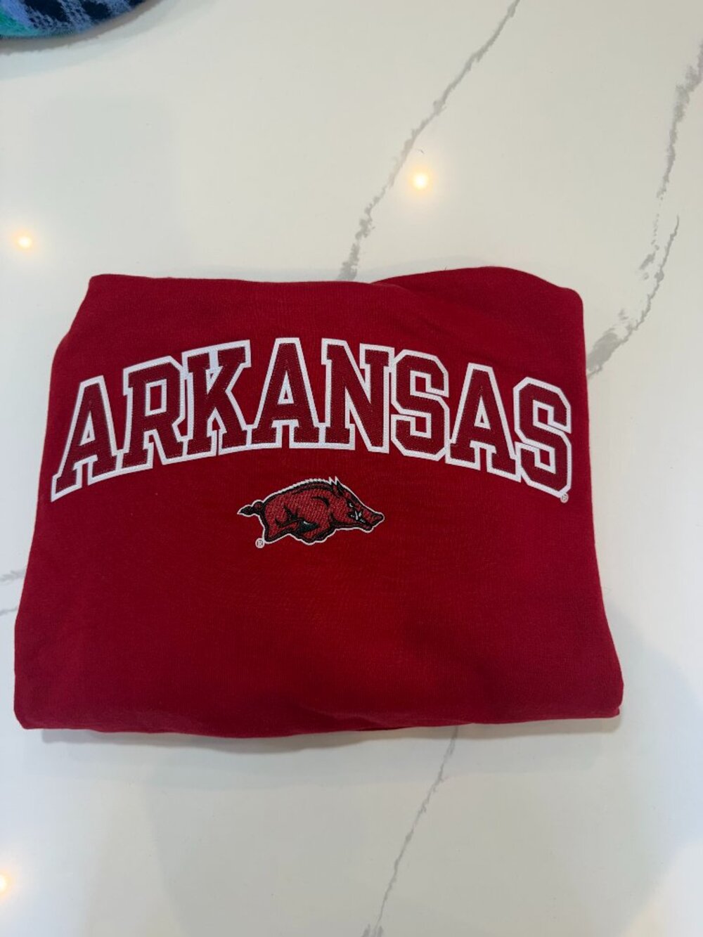 Champion Arkansas Hoodie